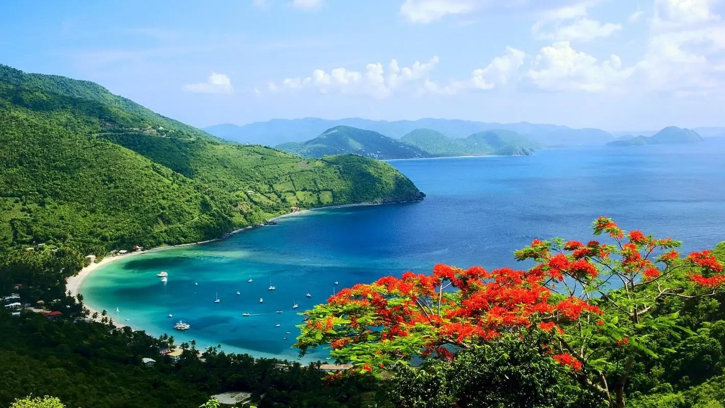 自动化高标准